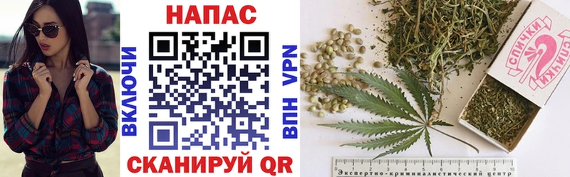 Виды наркоты Дмитриев А ПВП ГАШИШ Cocaine