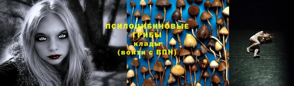 шишки Богородск