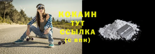дживик Богданович
