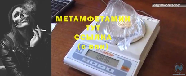 шишки Богородск