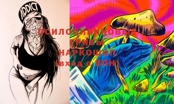 дживик Богданович
