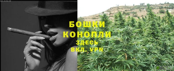 шишки Богородск