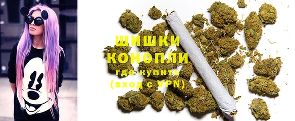 шишки Богородск