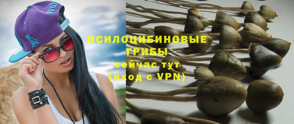 дживик Богданович