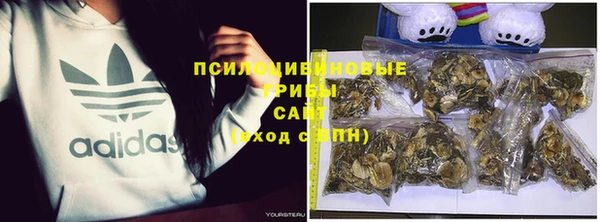 дживик Богданович